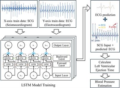 Editorial: Skin-interfaced platforms for quantitative assessment in public health